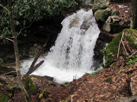 Small falls on Rock Creek