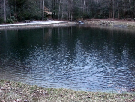 Rock Creek Park Swimming Hole