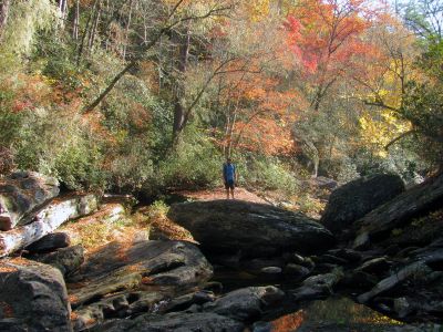 Tyler waiting on the rest of us. He is always way ahead and ends up doing triple the miles from constantly coming back wondering what is taking us so long ! 
