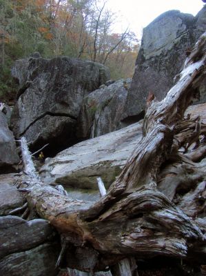 Fish Face Rock 

