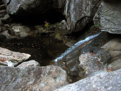 Fish Face Rock Falls 
