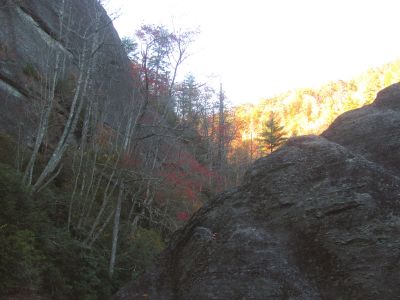 Looking back at the Bonas Defeat Wall 

