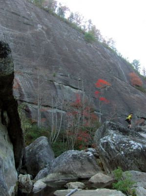 John at The Bonas Wall 
