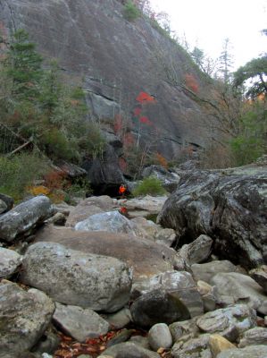 Badger and the Bonas Wall 
