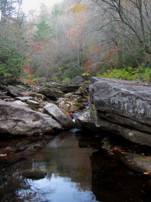 Continuing up the gorge it is getting darker causing my pics to become blurry as the light was quickly fading 
