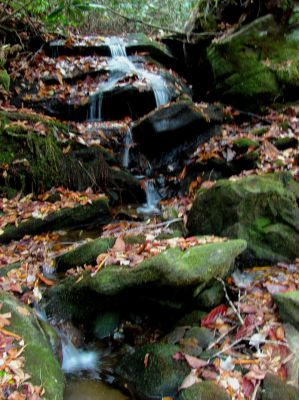 Sickens creek as it enters into the gorge (sorry for the blur but it was almost dark at this time) 
