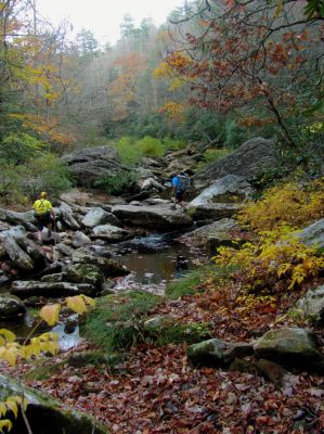 trying to keep up with John and Tyler  and the sun, all three of which was out running me while still trying to stay back far enough to be within earshot of the badger who had fallen behind due to the loss of a contact lens.
