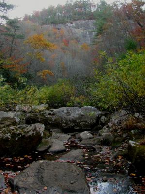 Almost out of sight of the wall as I keep looking back for the badger and another of our group to come into sight. 
