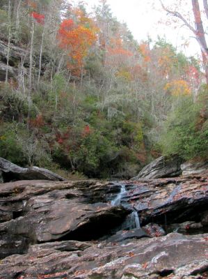 Falls upstream from the Bonas Wall 

