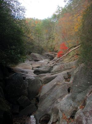 Finally, the view off the top of the blockage rock ! Looking down at the lower end of the slot canyon where we were earlier 
