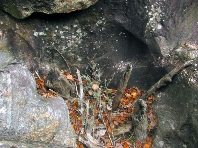 here you can tell that this was at one time a swirling mass of debris that  froze in place when the water went down as quickly as it surely came up 
