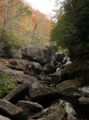 Badger and Tyler at Granny`s Kitchen 
