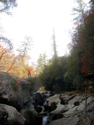 Welcome to Mr Badger`s Outdoor Neighborhood !!! 
