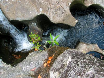RAT Drone view looking down on Granny`s Kitchen falls 
