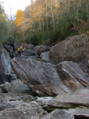 A happy gnome is a posing gnome ! 
