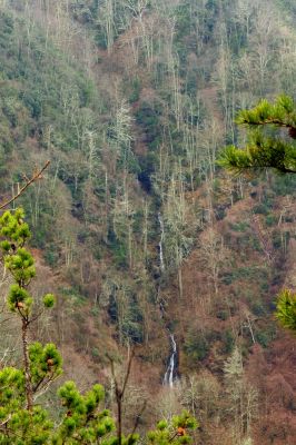 A mini Buckeye Falls  in the adjacent hollow beside Buckeye Falls (Taken 2-4-2016)
