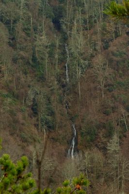 A mini Buckeye Falls  in the adjacent hollow beside Buckeye Falls (Taken 2-4-2016)
