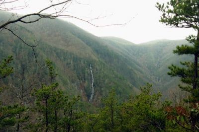 A mini Buckeye Falls  in the adjacent hollow beside Buckeye Falls (Taken 2-4-2016)

