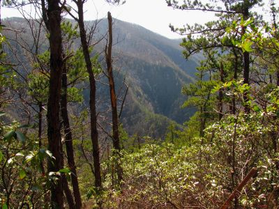 Buckeye Falls as seen from Chigger Ridge - Taken 3-12-2011
