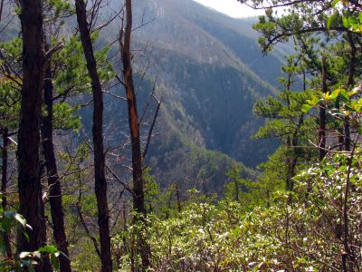Buckeye Falls as seen from Chigger Ridge - Taken 3-12-2011
