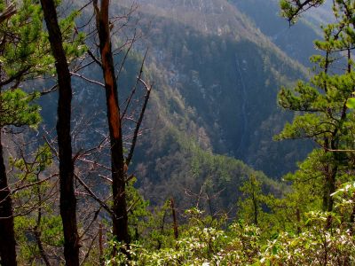 Buckeye Falls as seen from Chigger Ridge - Taken 3-12-2011
