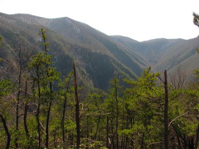Buckeye Falls as seen from Chigger Ridge - Taken 3-12-2011
