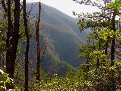 Buckeye Falls as seen from Chigger Ridge - Taken 3-12-2011

