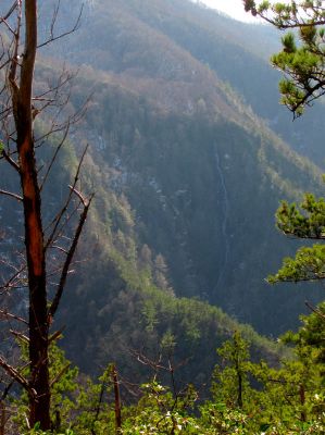 Buckeye Falls as seen from Chigger Ridge - Taken 3-12-2011
