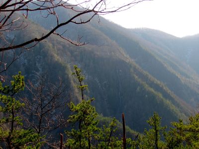 Buckeye Falls as seen from Chigger Ridge - Taken 3-12-2011
