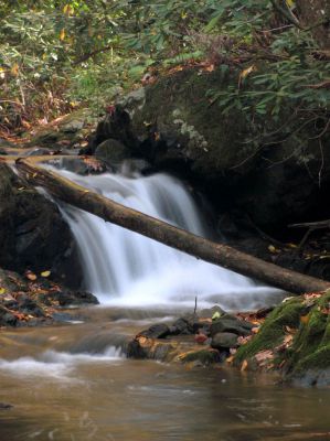Devil Fork Cascades
First set of cascades found on Devil Fork Creek where it meets South Indian Creek (taken 10-17-2010)

