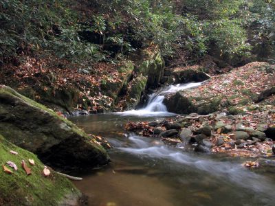 Devil Fork Cascades
Second set of cascades found on Devil Fork Creek (taken 10-17-2010)
