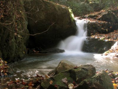 Devil Fork Cascades
Third set of cascades found on Devil Fork Creek (taken 10-17-2010)
