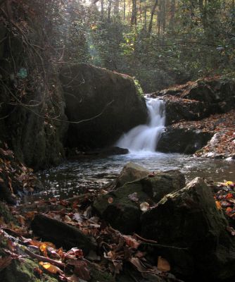 Devil Fork Cascades
Third set of cascades found on Devil Fork Creek (taken 10-17-2010)
