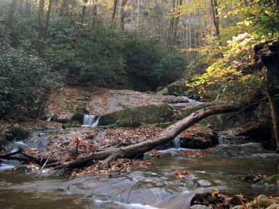Devil Fork Cascades
Fourth set of cascades found on Devil Fork Creek (taken 10-17-2010)
