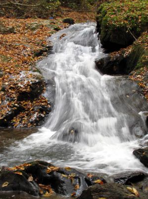 Devil Fork Falls
Falls we found just above the Upper Devil Fork Falls (taken 10-19-2010)
