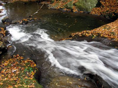 Devil Fork Falls
Falls we found just above the Upper Devil Fork Falls (taken 10-19-2010)
