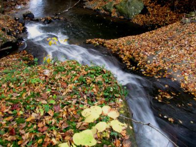 Devil Fork Falls
Falls we found just above the Upper Devil Fork Falls (taken 10-19-2010)
