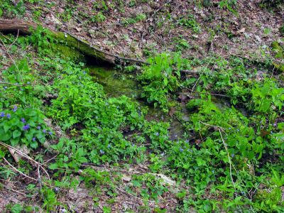 Spring above (north) of the gap 
