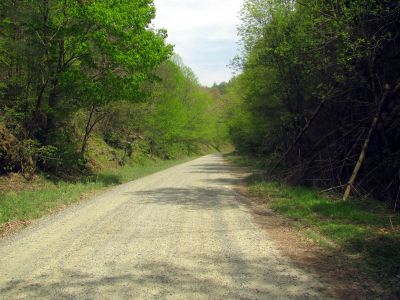 This road leads to Max Patch if you follow it to the top and take a left. 
