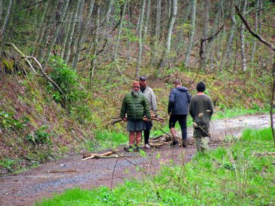 Firewood transport method # 27
