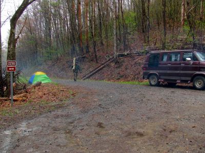 Look ! what s that carrying that tree ?? 
