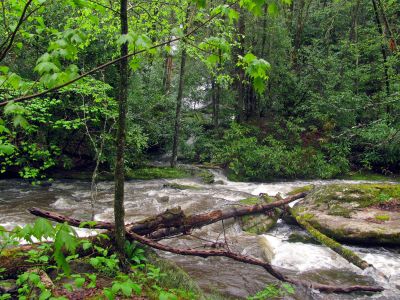 Waterfall across the creek. 
