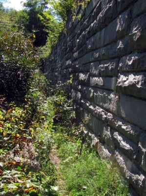 Tanawha Trail overgrown just below the Blue Ridge Parkway
