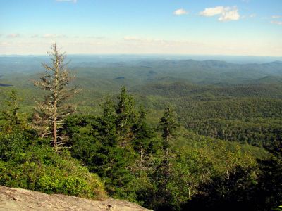 Beacon Heights Overlook
