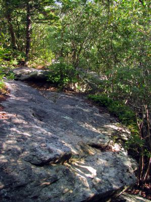 MST just below Beacon Heights
