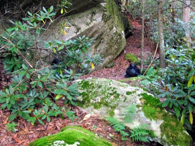 Campsite on first night 
