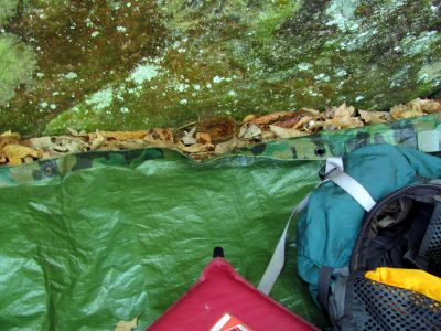bird nest beside RAT`s sleeping mat
