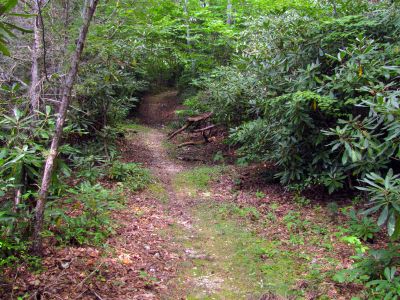 Trail between Beacon Heights and Old House Gap
