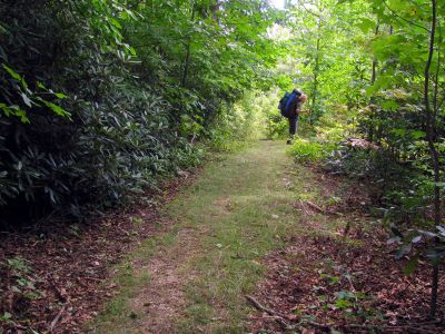 Trail between Beacon Heights and Old House Gap
