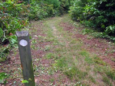 Cleaned cut trail thanks to Bob and his crew

